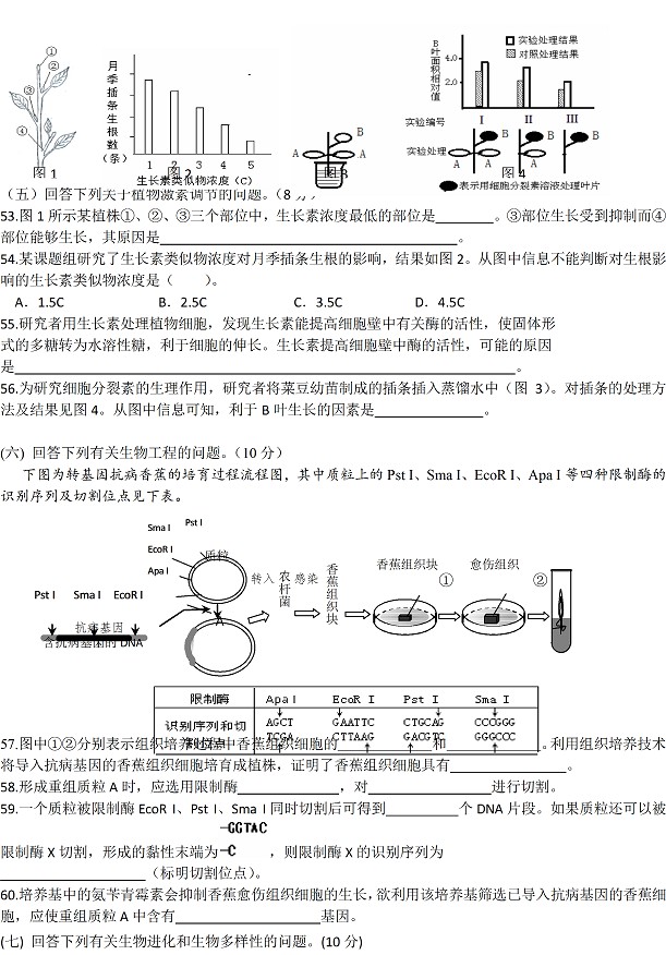 2014年上海高考一模考试生物试题及答案 -高中