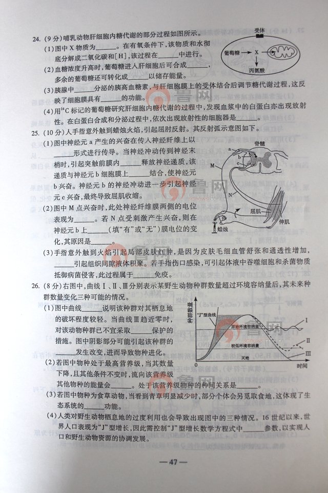 2012山东高考理综试题答案