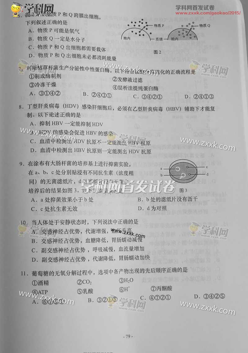2015上海高考生物试题答案 2015上海高考生物试题答案