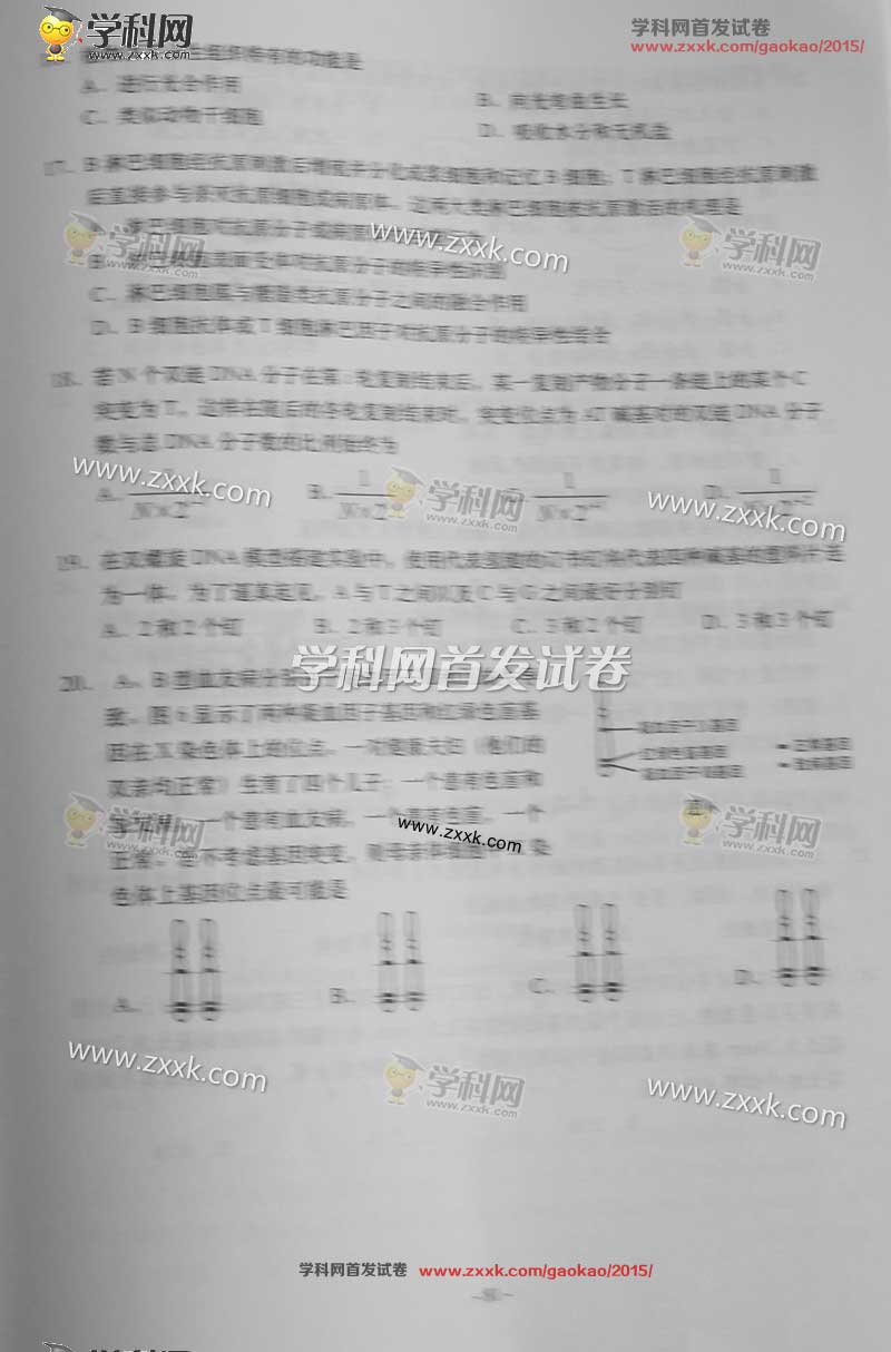 2015上海高考生物试题答案 2015上海高考生物试题答案