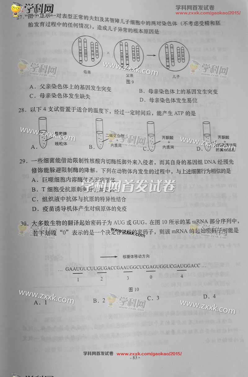 2015上海高考生物试题答案 2015上海高考生物试题答案