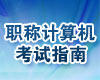 2013��ְ�Ƽ�������Լ�����ָ��