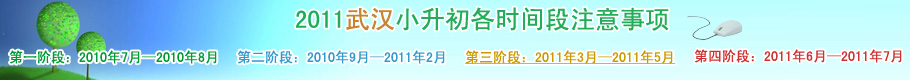 2011武汉小升初