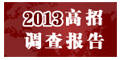 2013���е��鱨��