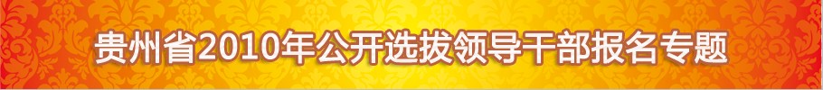 2010年贵州公选领导报名专题