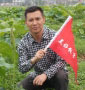 孙光有