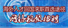 海外人才网络视频招聘