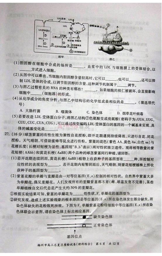 2014梅州一模理综试题及答案