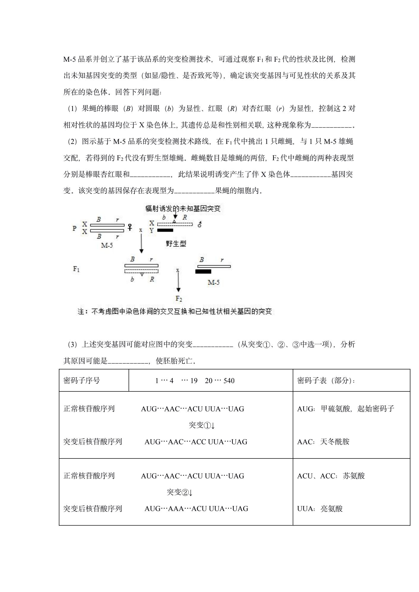 2021高考真题及答案