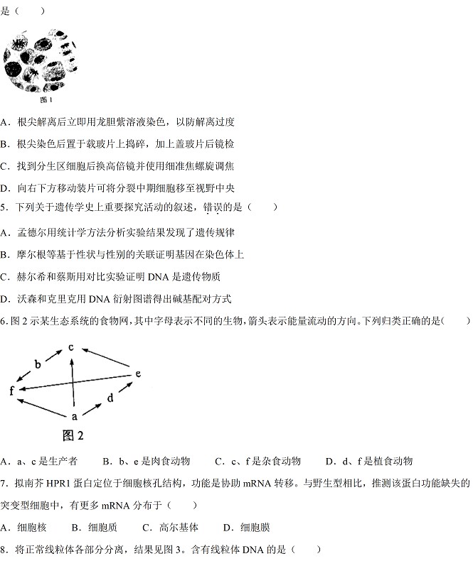 2022年高考真题及答案