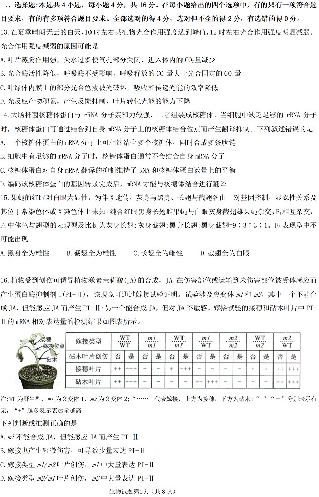 2022年高考真题及答案