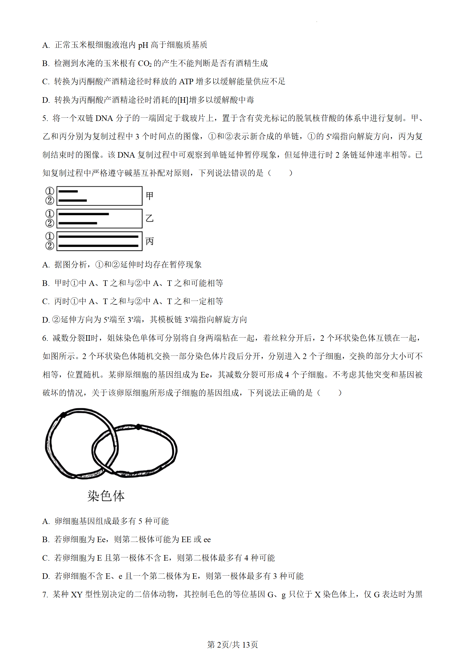 2023年高考真题及答案