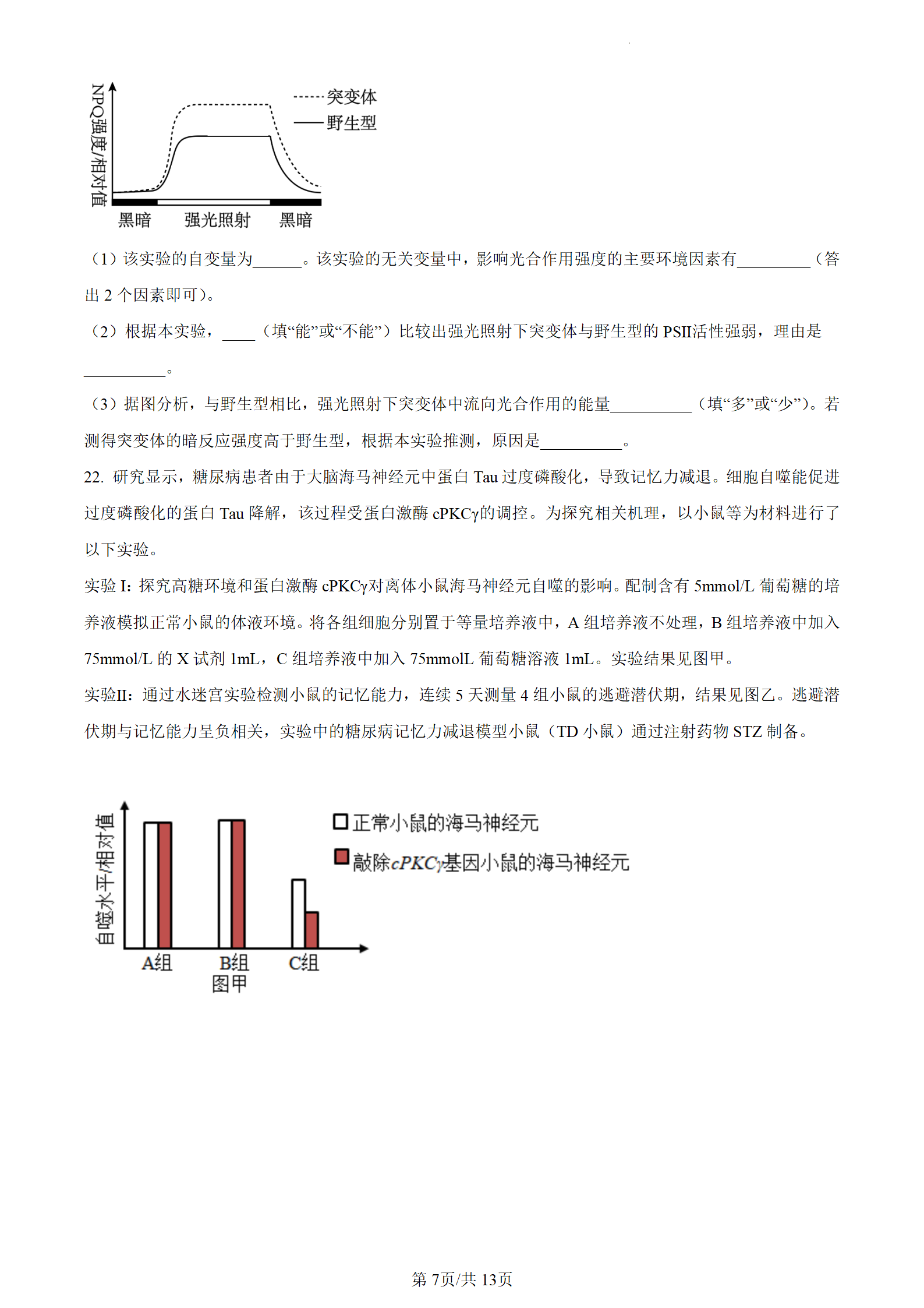 2023年高考真题及答案