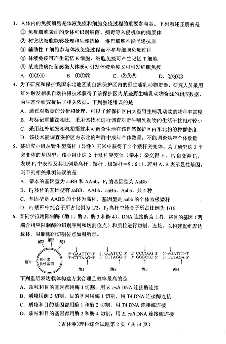 2023年高考真题及答案