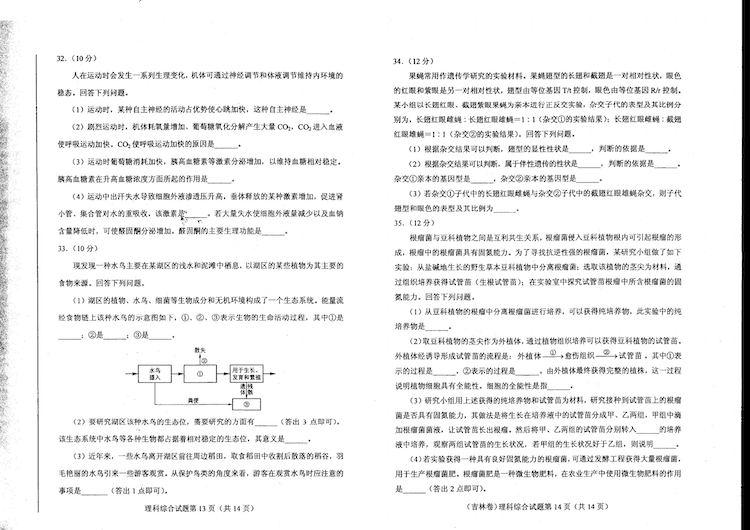 2023年高考真题及答案