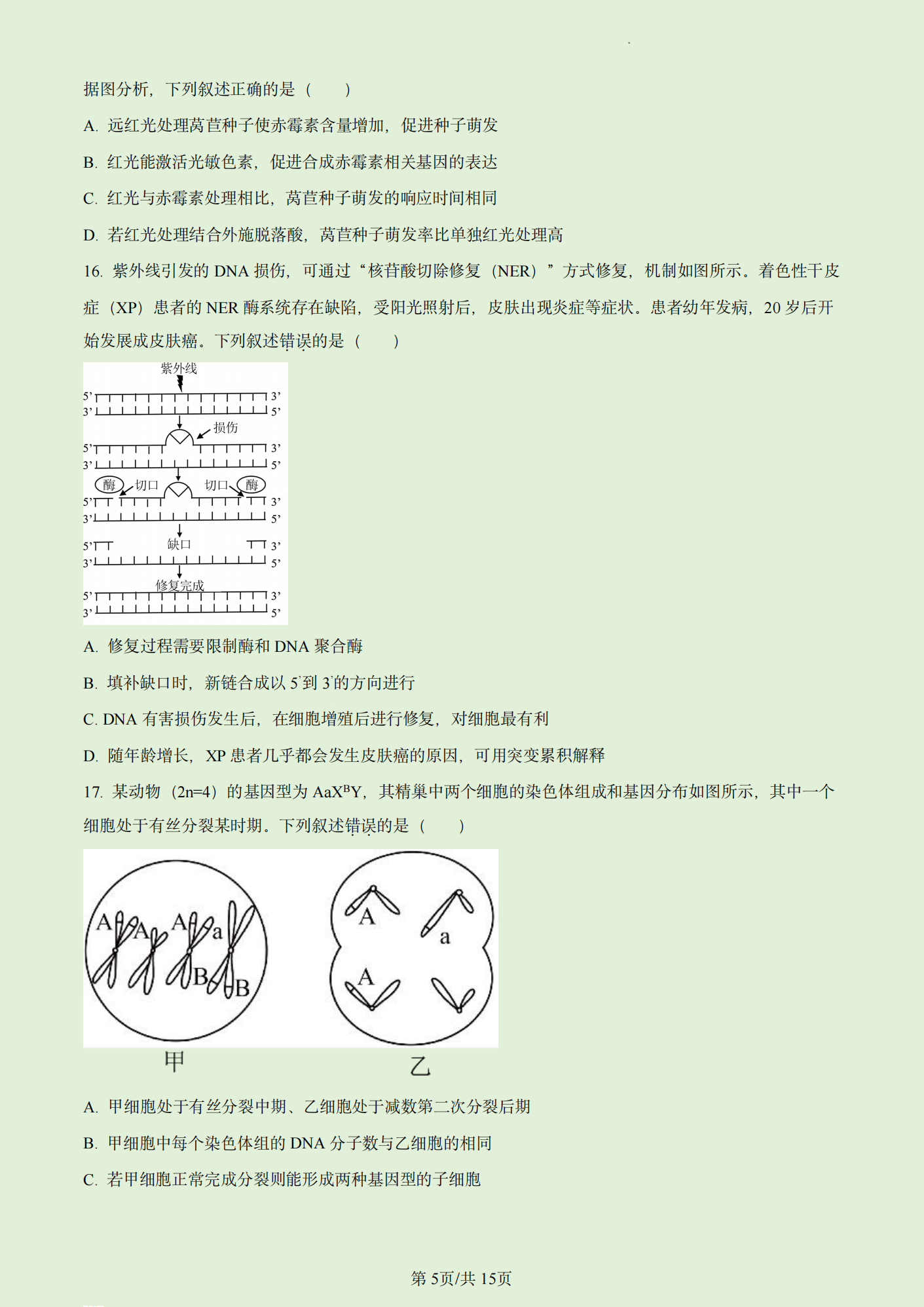 2023年高考真题及答案