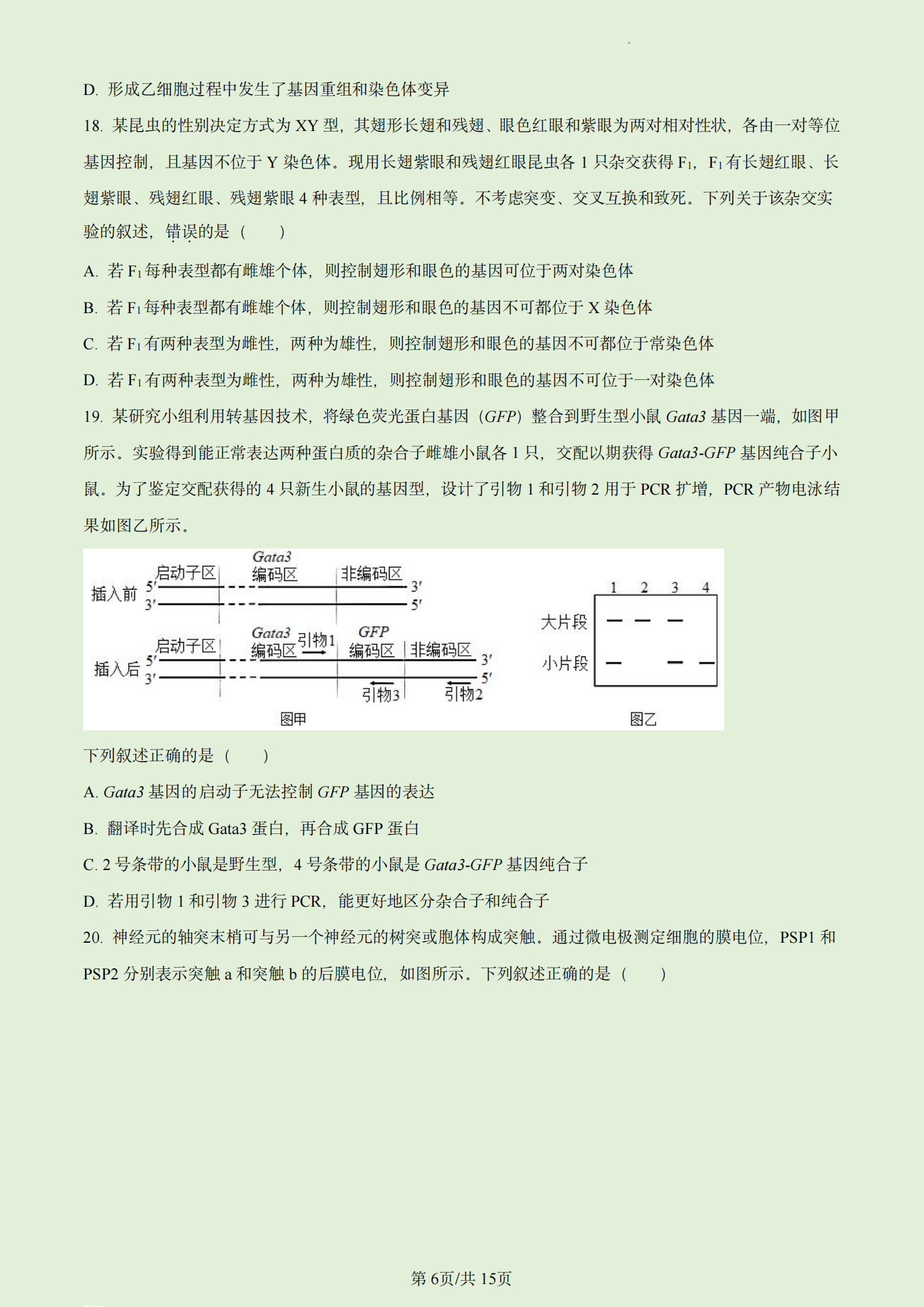 2023年高考真题及答案