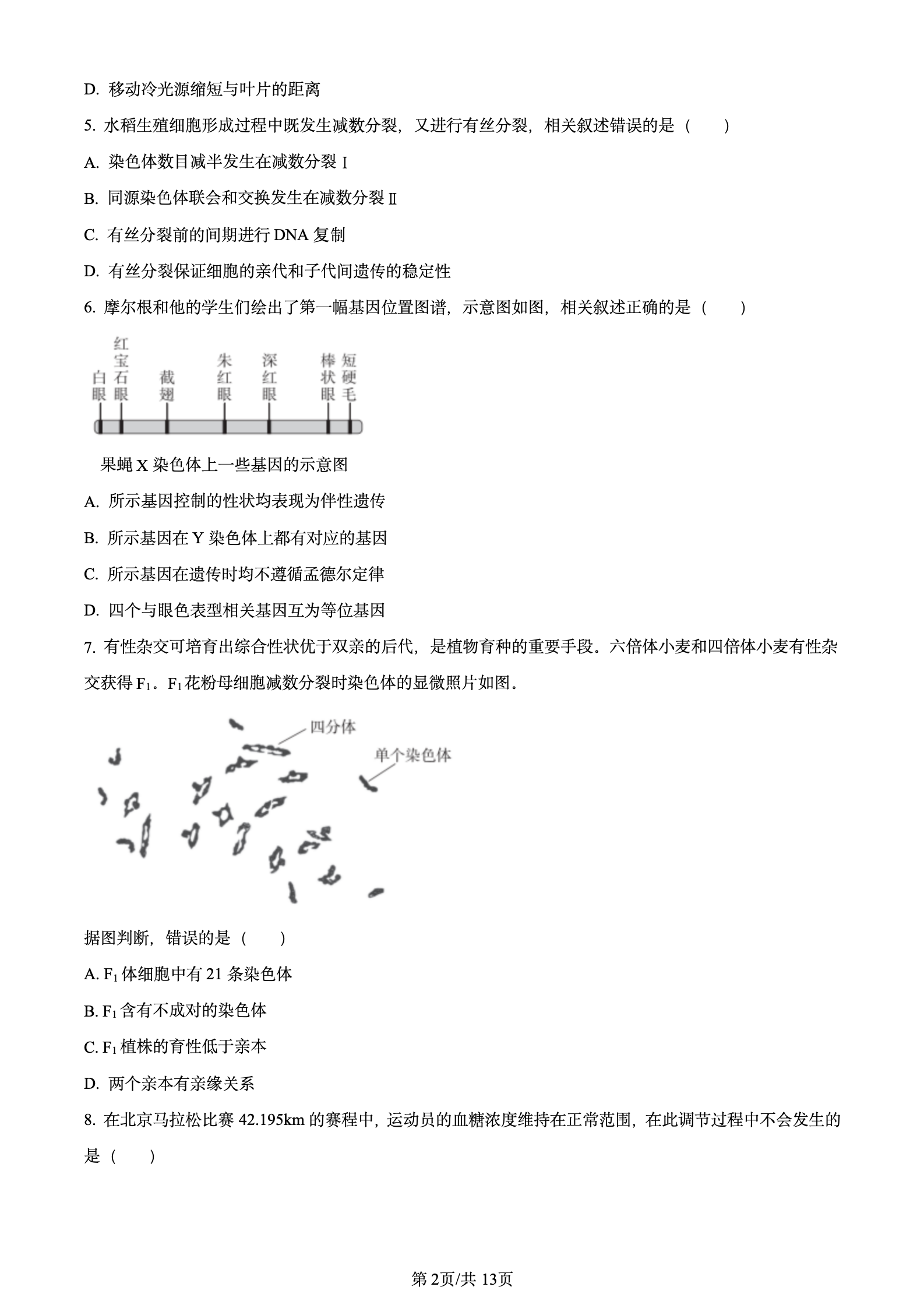 2024年高考真题及答案