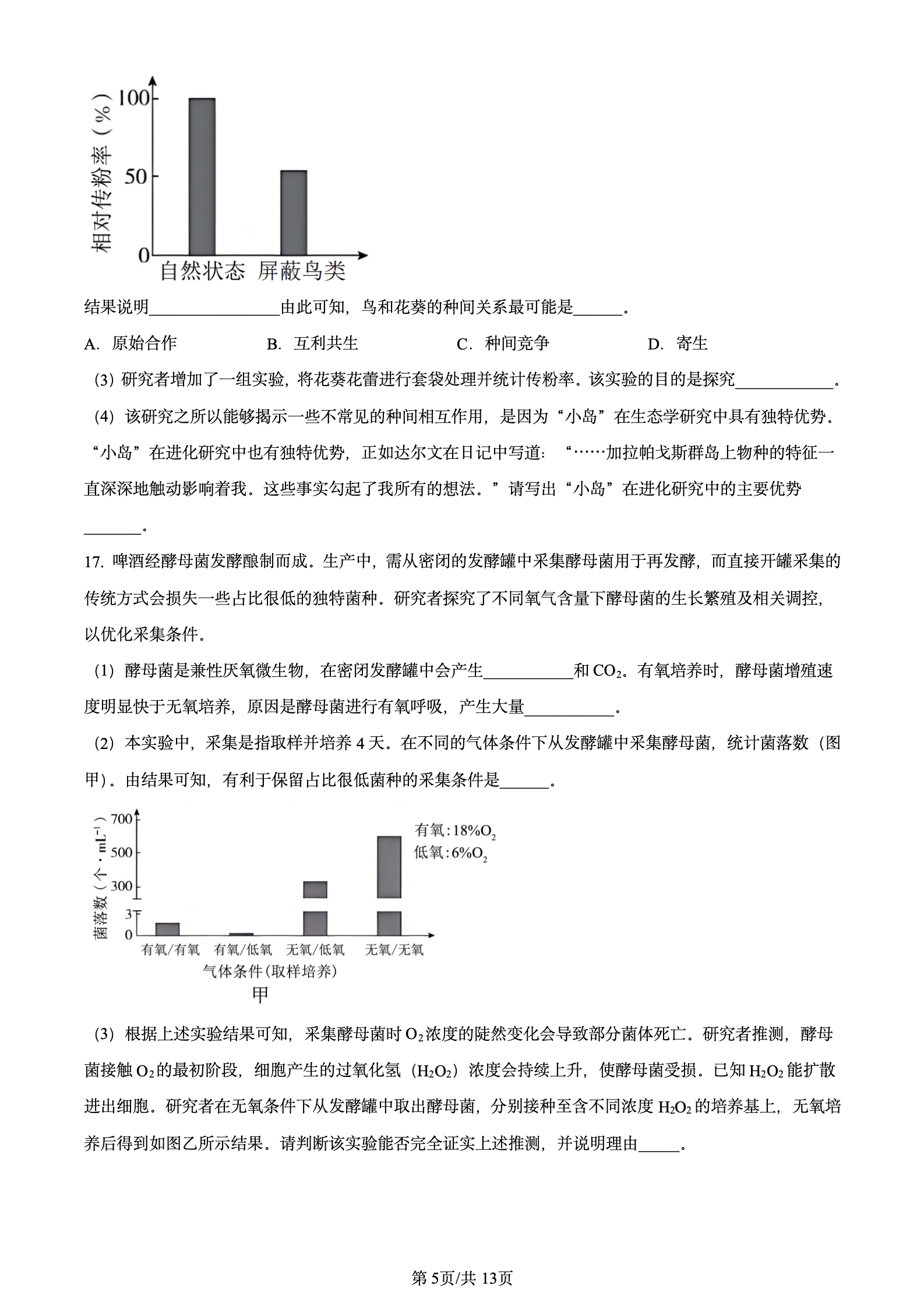 2024年高考真题及答案