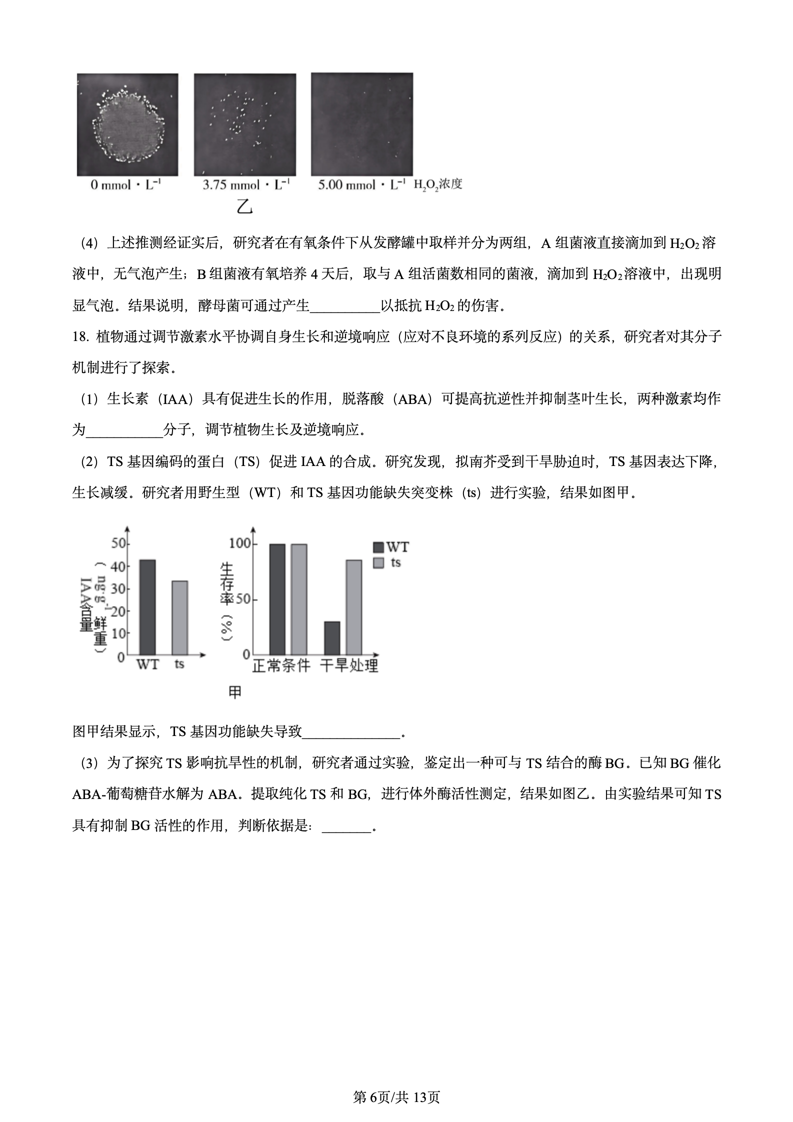 2024年高考真题及答案