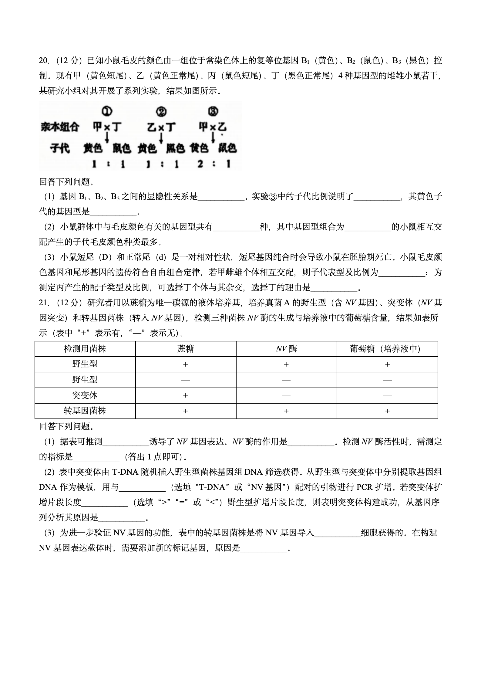 2024年高考真题及答案