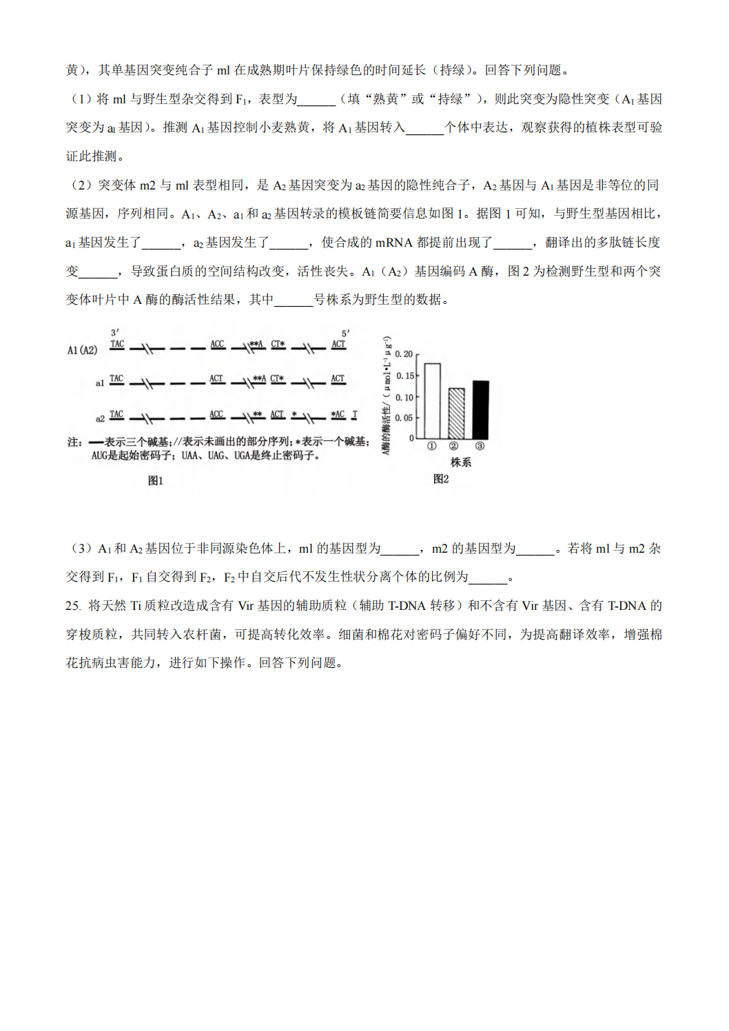 2024年高考真题及答案