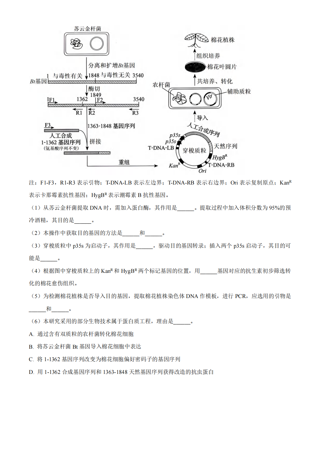 2024年高考真题及答案