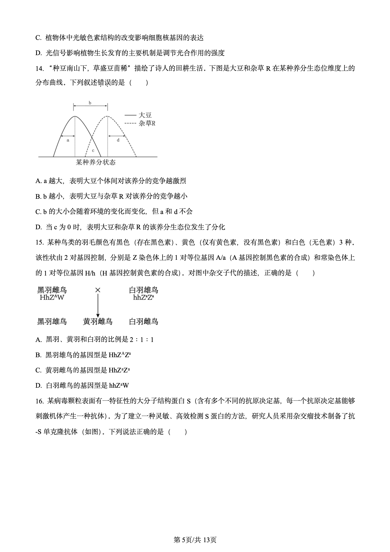 2024年高考真题及答案