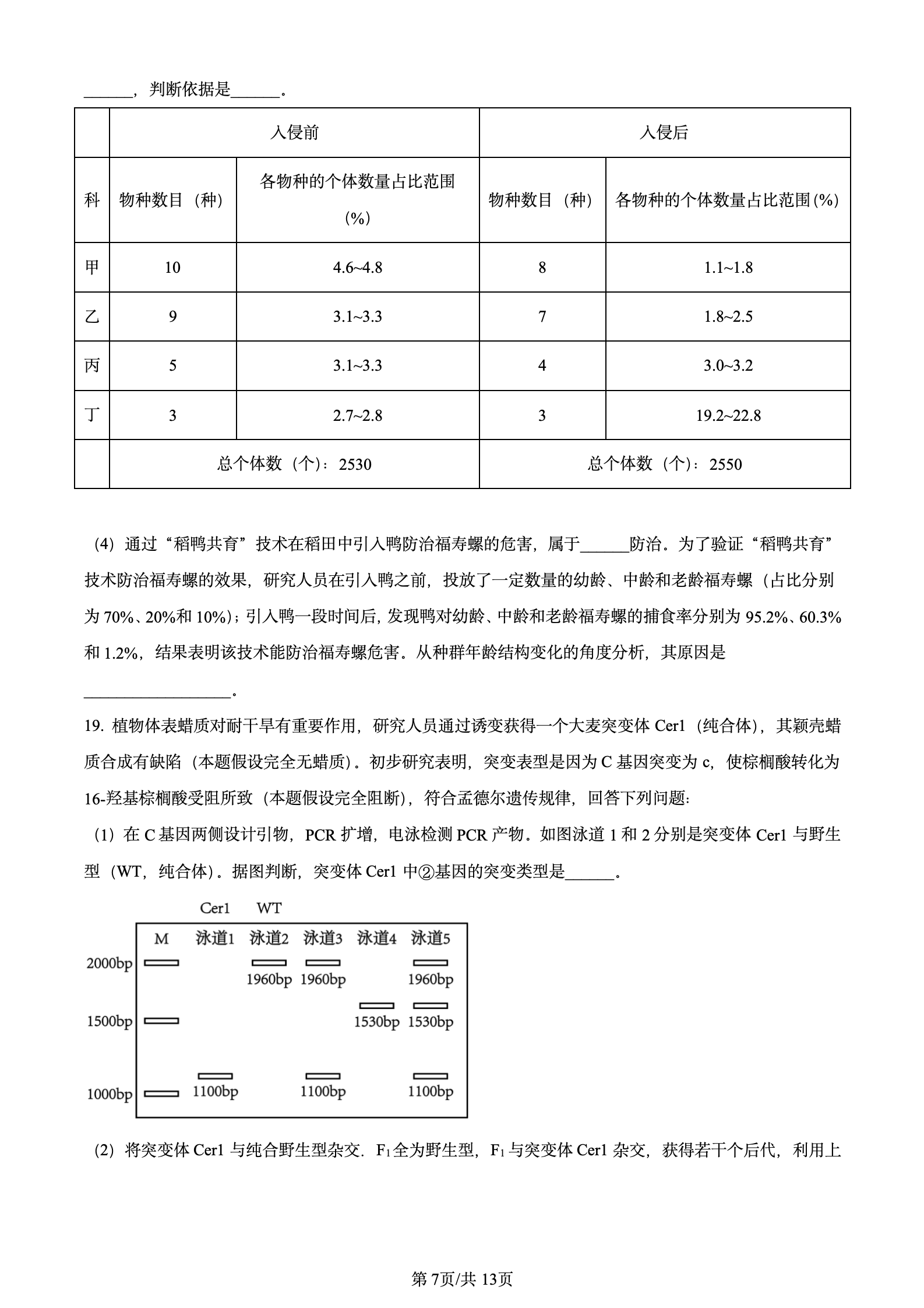 2024年高考真题及答案