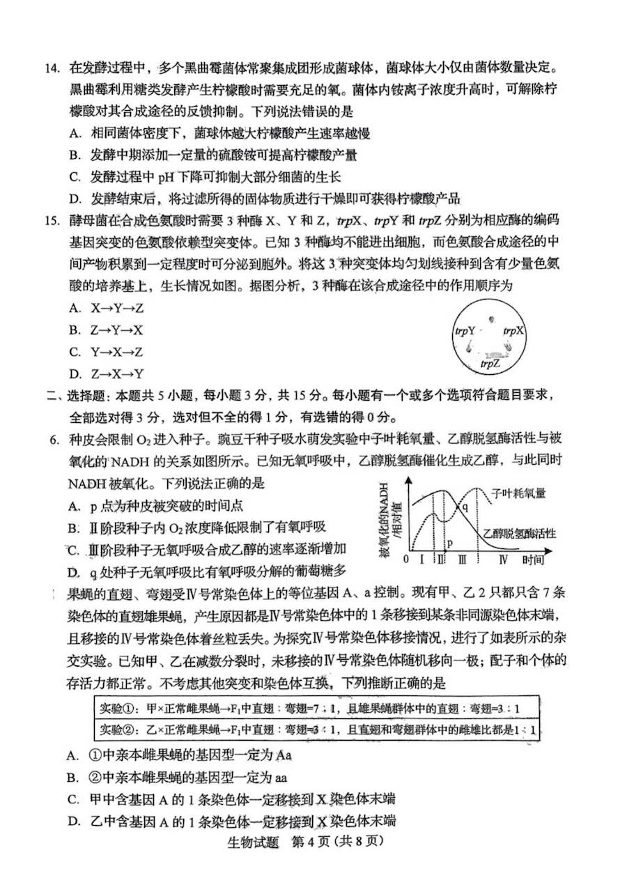 2024年高考真题及答案