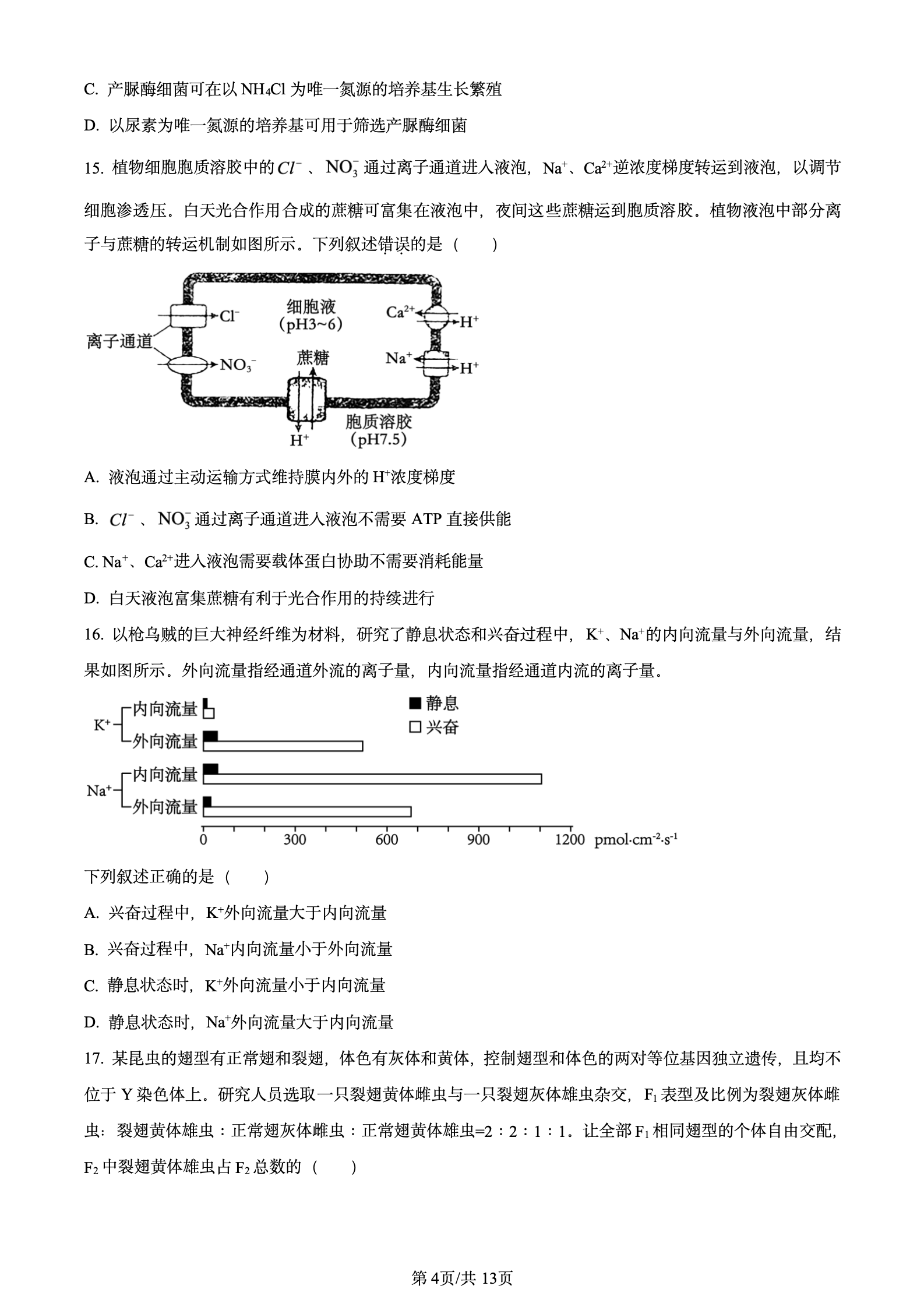 2024年高考真题及答案