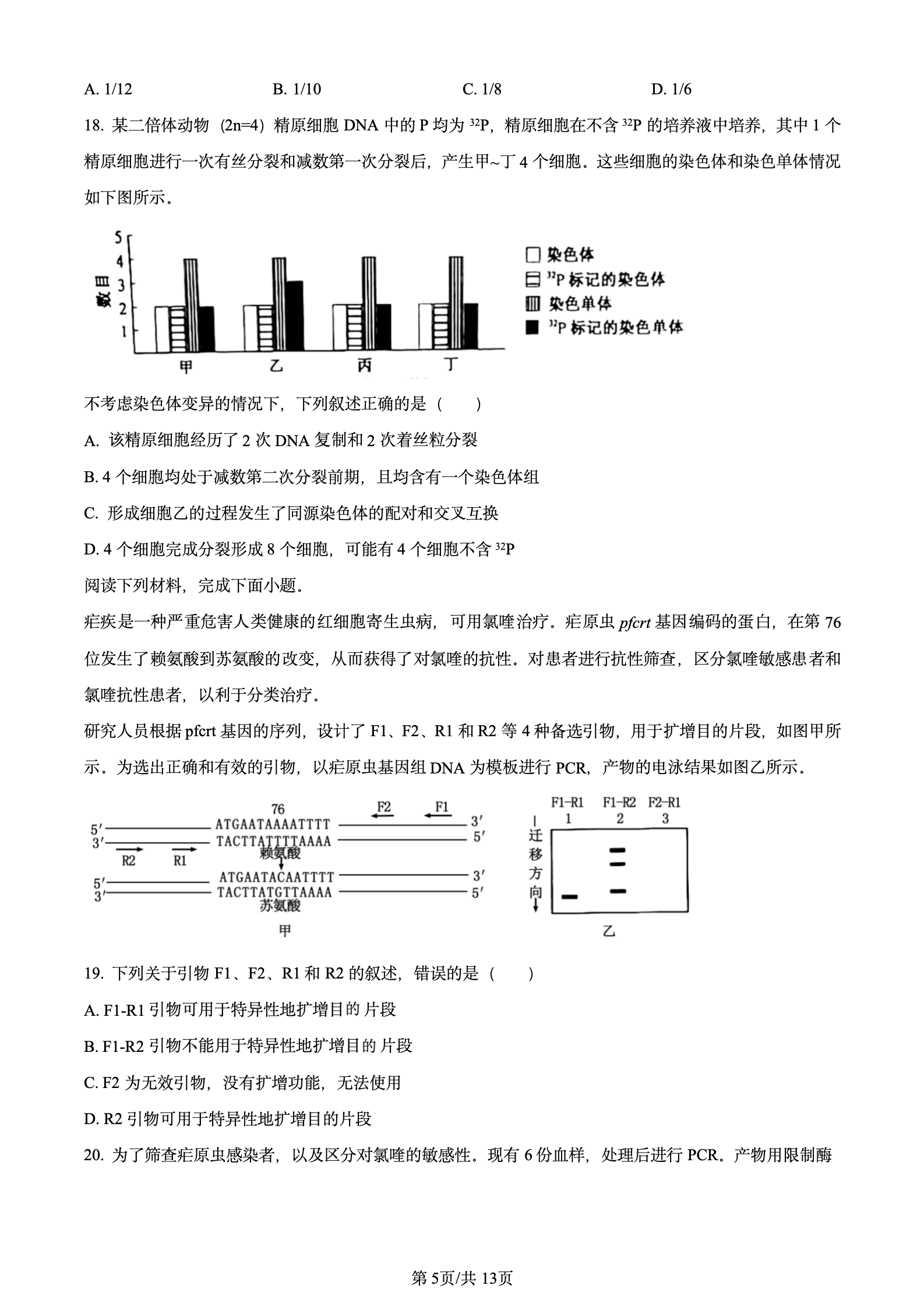 2024年高考真题及答案