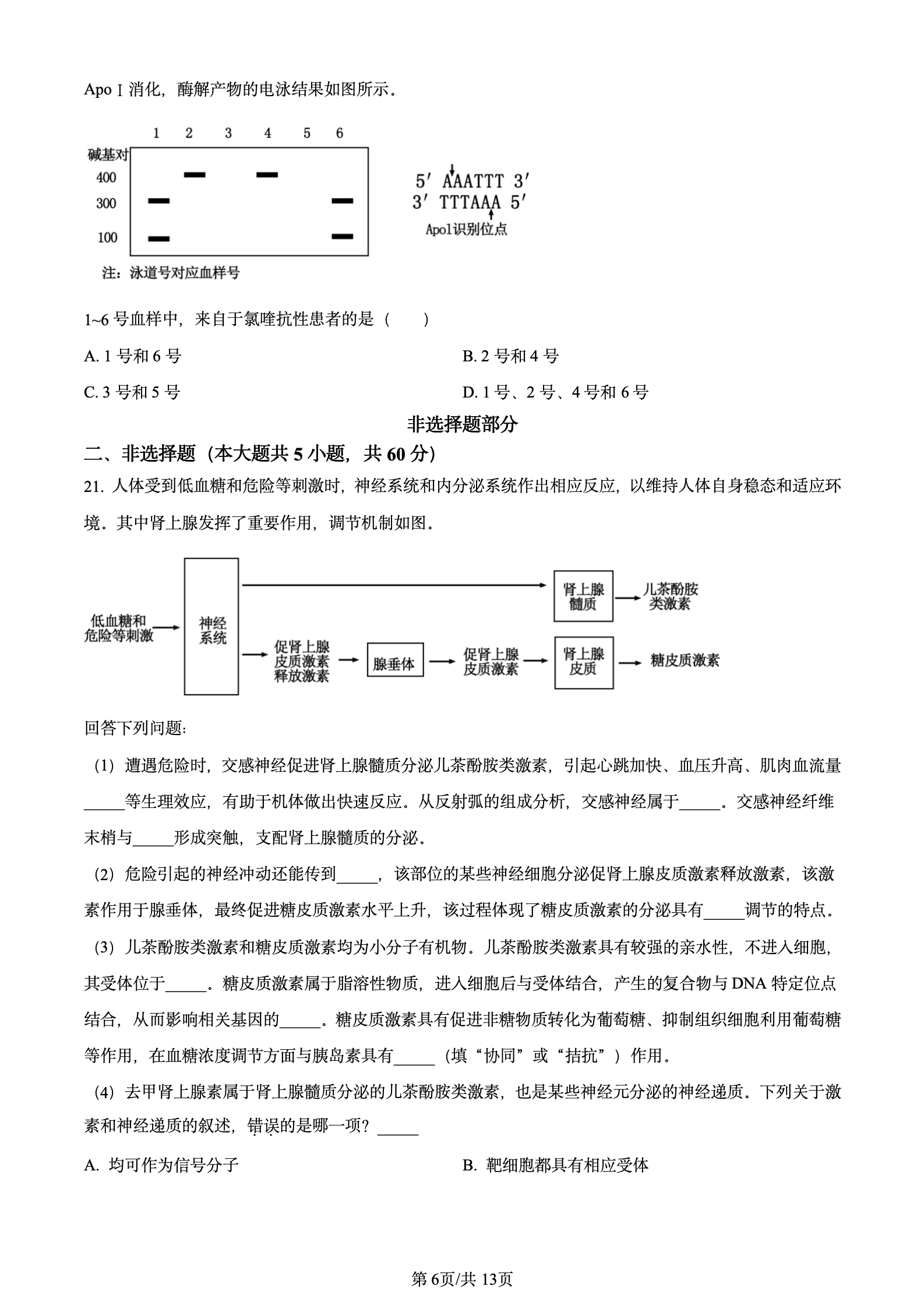 2024年高考真题及答案